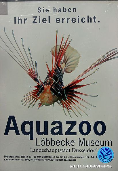 Aquazoo12.jpg